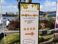 -上海长兴岛郊野公园