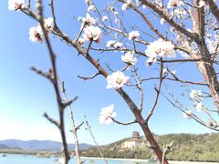 -颐和园