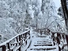 -瓦屋山景区