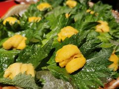 -初花·日本料理