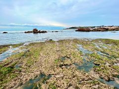 -青岛第三海水浴场
