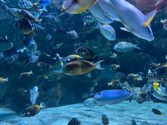 -海合安成都极地海洋公园