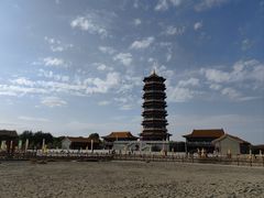 -金塔沙漠胡杨林景区