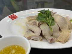 -红星光发煲仔饭(文海店)