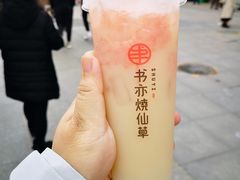 葡萄柚益菌多-书亦烧仙草(印象汇都市店)