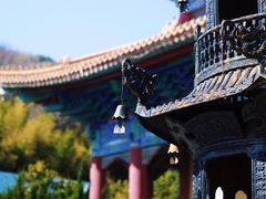 -天下玉苑