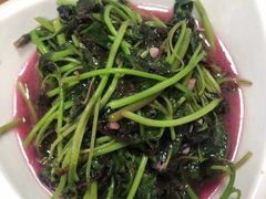 -大班家政月嫂育儿嫂(深圳NO.1店)