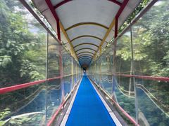 -七仙岭温泉国家森林公园