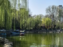 -莲湖公园