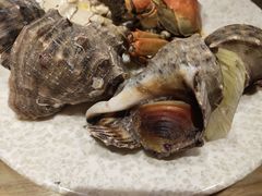 -钓鱼岛洗浴休闲会馆(卫星路店)