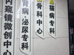 -半岛宠物医院24小时(白果林店)