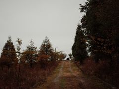 -山王坪喀斯特国家生态公园