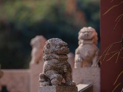 -上海白云观