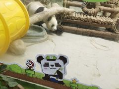 -灵玲国际马戏城