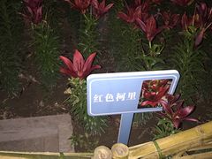 -文瀛公园