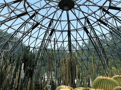 -深圳仙湖植物园