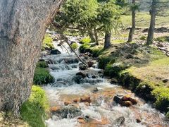 -新疆那拉提国家旅游度假区
