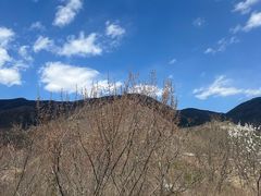 -妙峰山风景名胜区