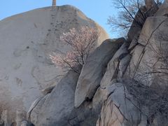 -北京凤凰岭
