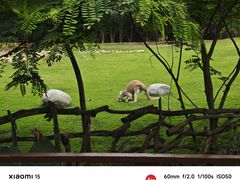 -泉州海丝野生动物世界