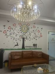 -艾美妈妈产后恢复·疼痛调理(六合龙池店)