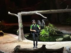 -夜间野生动物园