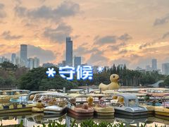 -荔枝公园(福田区)