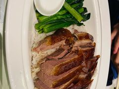 -吴系粤菜馆·茶餐厅(深业上城店)