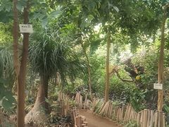 -呀路古热带植物园