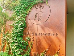 -熙古里艺术村
