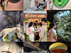 -厦门诚毅自然探索馆