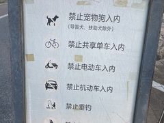 -野狸岛