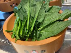 -龍歌自助小火锅(市南金茂湾店)