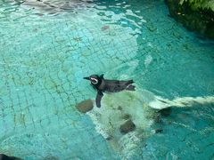 -上海野生动物园