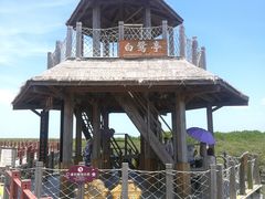 -北海金海湾红树林生态旅游区