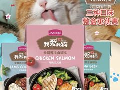 -爱宠屋pet shop·宠物洗澡·宠物美容