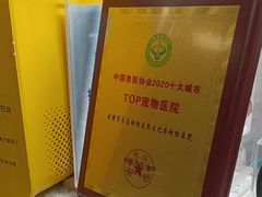-半岛宠物医院24小时(白果林店)