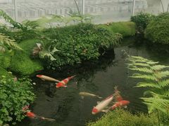 -罗红摄影艺术馆