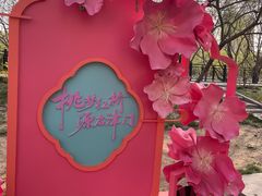 -桃花堤公园