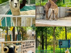 -水上乐园·欢乐世界