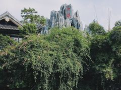 -荔湾湖公园