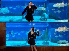 -成都浩海立方海洋公园