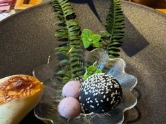 -叶叶菩提(太原别墅店)