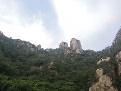 -大岭沟猕猴桃谷风景区