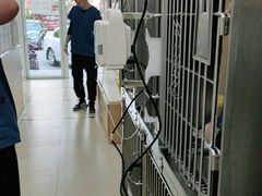 -宠福鑫康馨动物医院·骨科·眼科