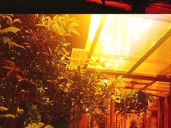 -胡桃里音乐餐厅(陶溪川店)(川湘赣菜·世界百大酒庄直供红酒·音乐表演)