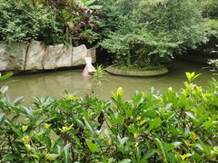 -宁波野生动物园