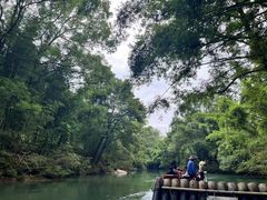 -九曲溪竹筏码头