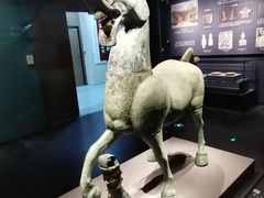 -广西壮族自治区博物馆