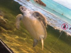 -江和美海洋公园
